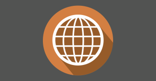 Icon Weltkugel Orange