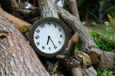 News Fixkostenzuschuss